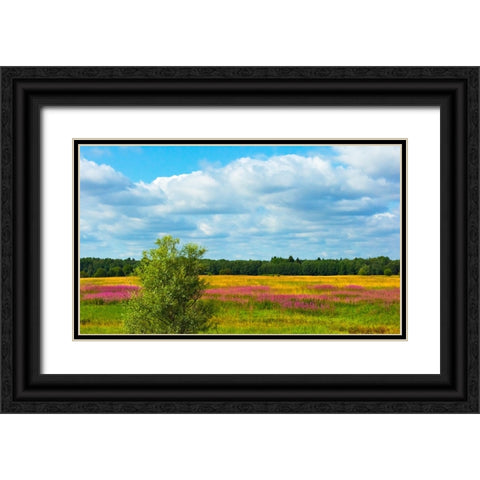 Farmland and flower fields-Estonia Black Ornate Wood Framed Art Print with Double Matting by Su, Keren