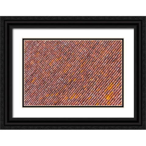 Red tile roof of Turaida Castle-Turaida-Latvia Black Ornate Wood Framed Art Print with Double Matting by Su, Keren