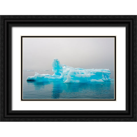 Blue iceberg in the fjord of Narsarsuaq-Greenland Black Ornate Wood Framed Art Print with Double Matting by Su, Keren