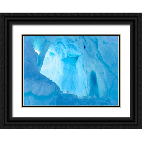 Iceberg frozen into the sea ice of the Uummannaq fjord system during winter-Greenland-Danish Territ Black Ornate Wood Framed Art Print with Double Matting by Zwick, Martin
