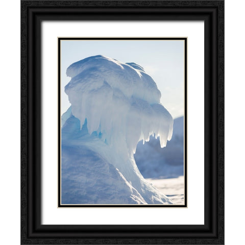 Iceberg frozen into the sea ice of the Uummannaq fjord system during winter-Greenland-Danish Territ Black Ornate Wood Framed Art Print with Double Matting by Zwick, Martin