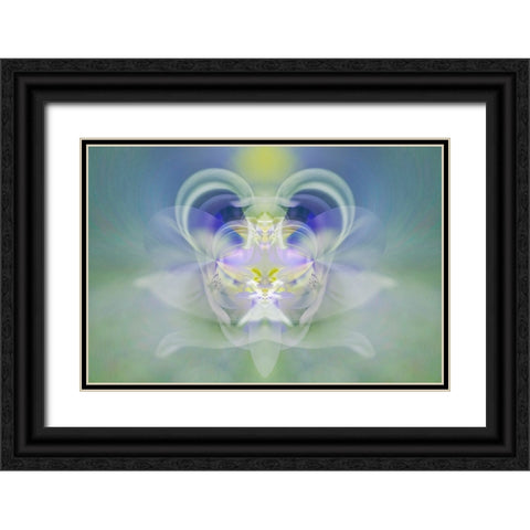 Star of Bethlehem Black Ornate Wood Framed Art Print with Double Matting by Jones, Adam