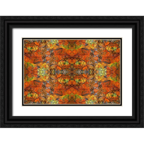 Autumn tree abstract Black Ornate Wood Framed Art Print with Double Matting by Jaynes Gallery