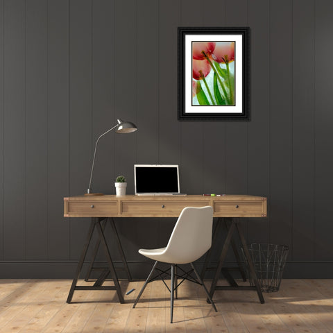 Tulips in ice Black Ornate Wood Framed Art Print with Double Matting by Jaynes Gallery