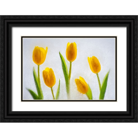 Tulips in ice Black Ornate Wood Framed Art Print with Double Matting by Jaynes Gallery