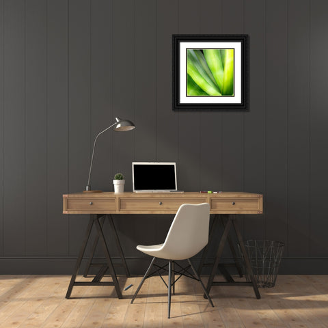 Close-up of vibrant agave leaves. Black Ornate Wood Framed Art Print with Double Matting by Muir, Janet