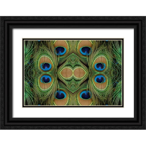 Peacock feathers Black Ornate Wood Framed Art Print with Double Matting by Jones, Adam