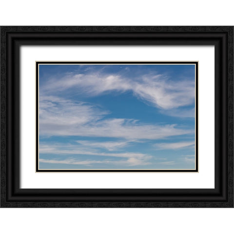 Cumulus clouds in blue sky Black Ornate Wood Framed Art Print with Double Matting by Jones, Adam
