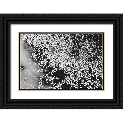 Beet juice and salt crystals Black Ornate Wood Framed Art Print with Double Matting by Muench, Zandria