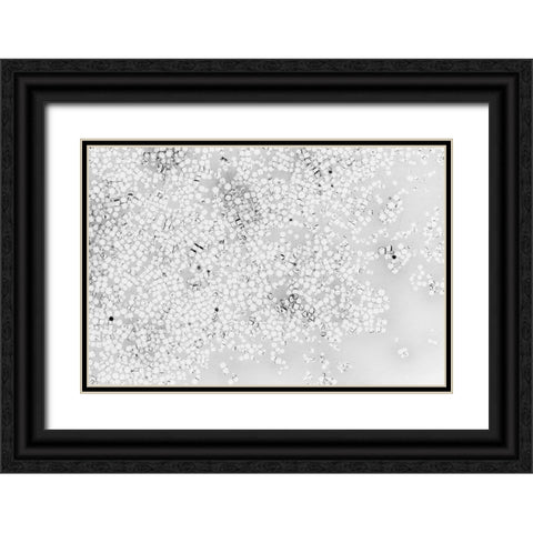Beet juice and salt crystals Black Ornate Wood Framed Art Print with Double Matting by Muench, Zandria