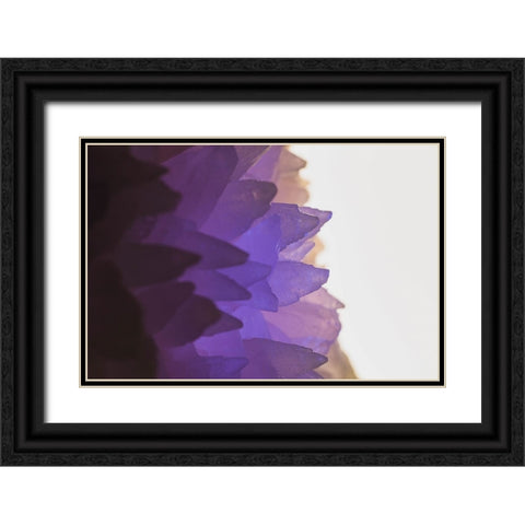 Rose Quartz Black Ornate Wood Framed Art Print with Double Matting by Muench, Zandria