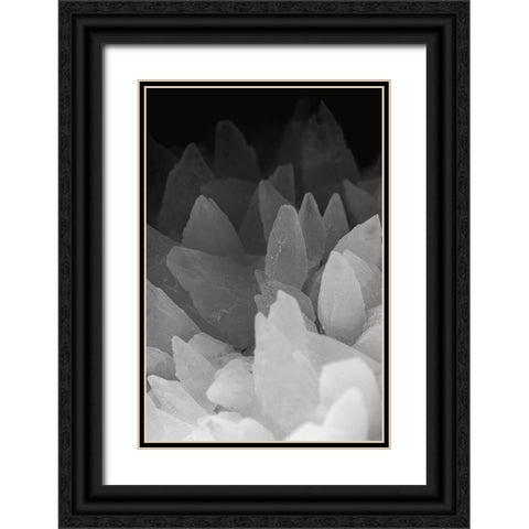 Rose Quartz Black Ornate Wood Framed Art Print with Double Matting by Muench, Zandria