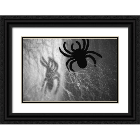 Spider on web Black Ornate Wood Framed Art Print with Double Matting by Muench, Zandria