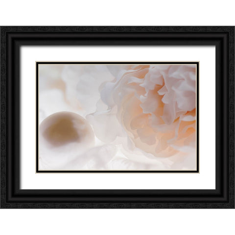 Flowers and light Black Ornate Wood Framed Art Print with Double Matting by Muench, Zandria