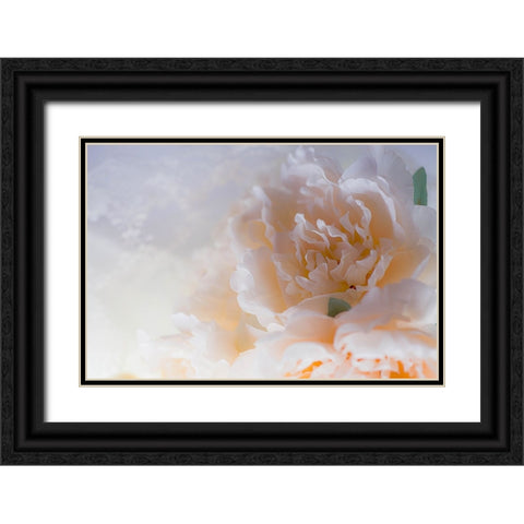 Flowers and light Black Ornate Wood Framed Art Print with Double Matting by Muench, Zandria