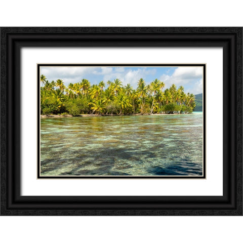 French Polynesia- Tahaa. Ocean corals and tropical forest. Black Ornate Wood Framed Art Print with Double Matting by Jaynes Gallery