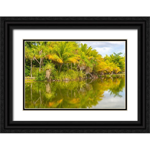French Polynesia- Tahaa. Tropical lagoon and jungle. Black Ornate Wood Framed Art Print with Double Matting by Jaynes Gallery