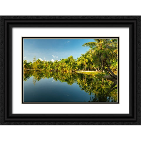 French Polynesia- Tahaa. Tropical jungle reflects in lagoon. Black Ornate Wood Framed Art Print with Double Matting by Jaynes Gallery