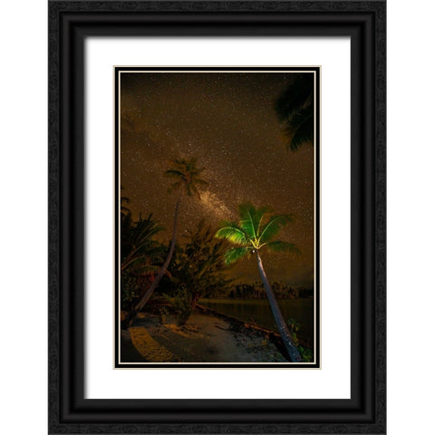 French Polynesia- Tahaa. Palm trees and night sky with Milky Way. Black Ornate Wood Framed Art Print with Double Matting by Jaynes Gallery