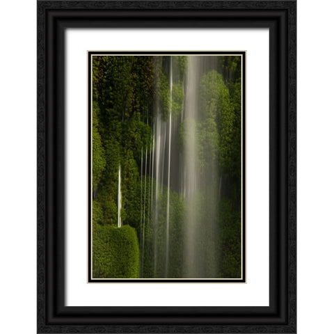 Iguazu Falls- Brazil- South America Black Ornate Wood Framed Art Print with Double Matting by McDonald, Joe and Maryann
