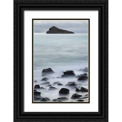 Waves crashing over lava rocks on shoreline of Espanola Island-Galapagos Islands-Ecuador Black Ornate Wood Framed Art Print with Double Matting by Jones, Adam
