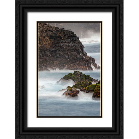 Waves crashing over lava rocks on shoreline of Espanola Island-Galapagos Islands-Ecuador Black Ornate Wood Framed Art Print with Double Matting by Jones, Adam
