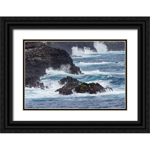 Waves crashing over lava rocks on shoreline of Espanola Island-Galapagos Islands-Ecuador Black Ornate Wood Framed Art Print with Double Matting by Jones, Adam
