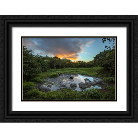 Galapagos giant tortoise gathering in small pond at sunset Genovesa Island-Galapagos Islands Black Ornate Wood Framed Art Print with Double Matting by Jones, Adam