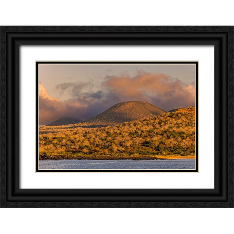 Santiago Island-Galapagos Islands-Ecuador Black Ornate Wood Framed Art Print with Double Matting by Jones, Adam