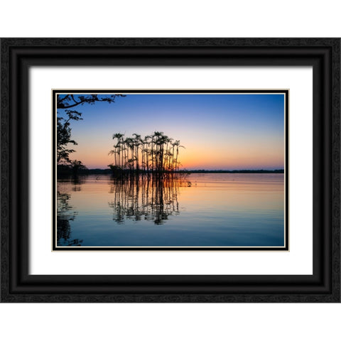 Equator in the Amazon rainforest- Palm trees in Laguna Grande. Black Ornate Wood Framed Art Print with Double Matting by Sederquist, Betty