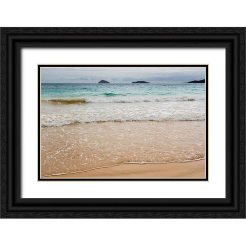 Floreana Island-Galapagos islands-Ecuador Black Ornate Wood Framed Art Print with Double Matting by Pitamitz, Sergio