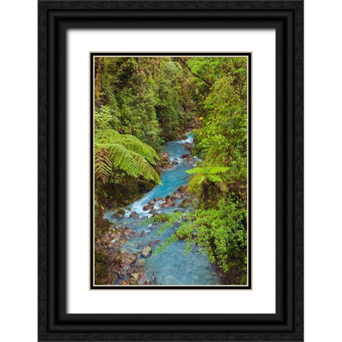 Small stream or creek-Costa Rica Black Ornate Wood Framed Art Print with Double Matting by Jones, Adam