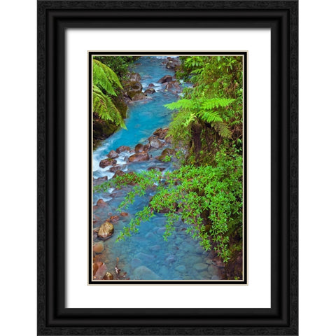 Small stream or creek-Costa Rica Black Ornate Wood Framed Art Print with Double Matting by Jones, Adam