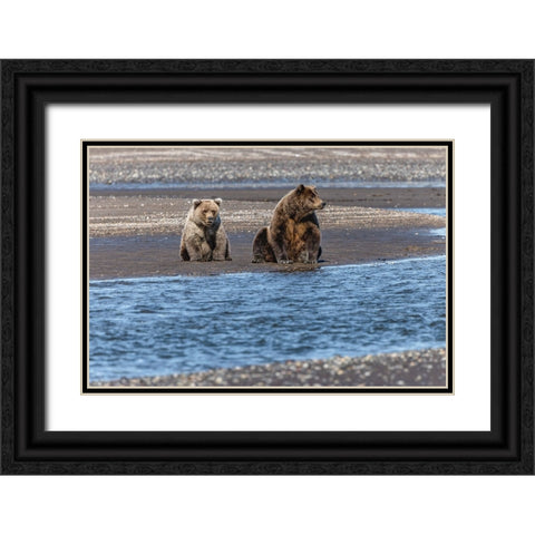 Adult female grizzly bear and cub fishing-Lake Clark National Park and Preserve-Alaska Black Ornate Wood Framed Art Print with Double Matting by Jones, Adam