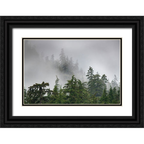 Usa-Alaska Mists-fog and rain for the coastal temperate rainforest in Southeast Alaska Black Ornate Wood Framed Art Print with Double Matting by Sederquist, Betty
