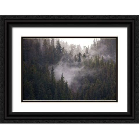 Usa-Alaska Wisps of fog dance among trees in this Alaska rainforest scene on Admiralty Island Black Ornate Wood Framed Art Print with Double Matting by Sederquist, Betty