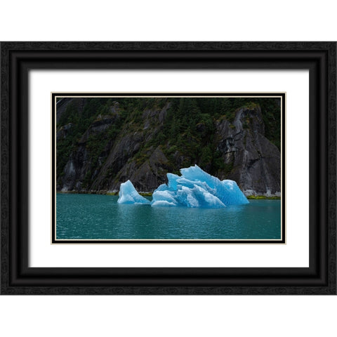 Usa-Alaska This perfect iceberg floats in the blue waters of Endicott Arm Black Ornate Wood Framed Art Print with Double Matting by Sederquist, Betty