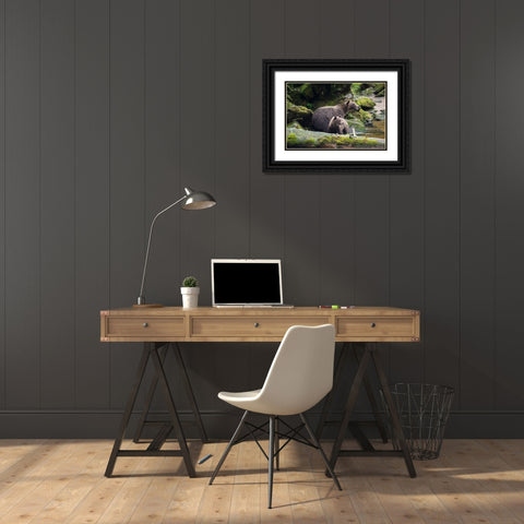 Brown bear cub staying close to mom at Anan Creek. Black Ornate Wood Framed Art Print with Double Matting by Sederquist, Betty