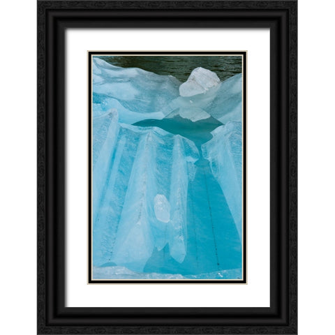 Iceberg textures. Black Ornate Wood Framed Art Print with Double Matting by Sederquist, Betty