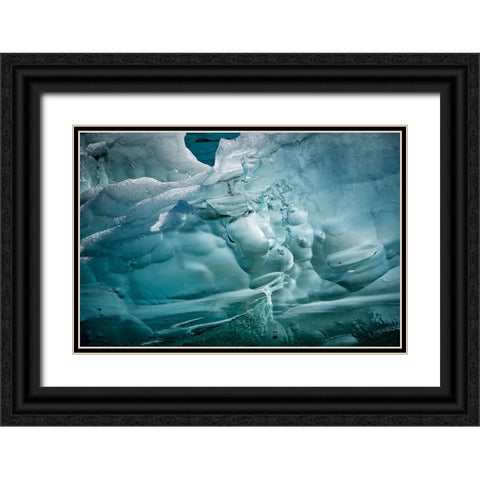 Iceberg textures. Black Ornate Wood Framed Art Print with Double Matting by Sederquist, Betty