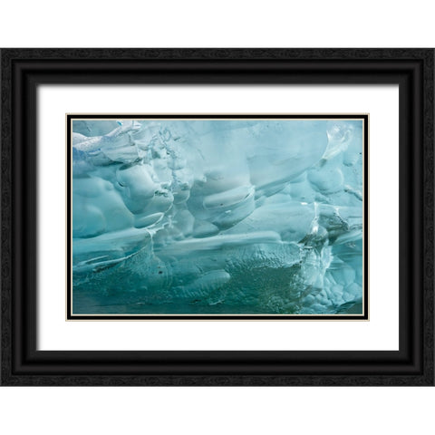 Iceberg textures. Black Ornate Wood Framed Art Print with Double Matting by Sederquist, Betty