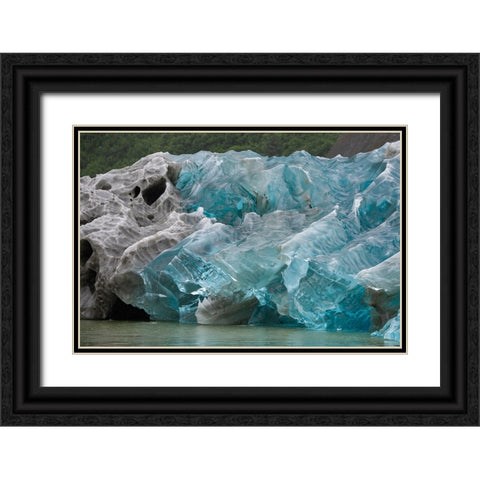 Icebergs in Endicott Arm have amazing patterns. Black Ornate Wood Framed Art Print with Double Matting by Sederquist, Betty