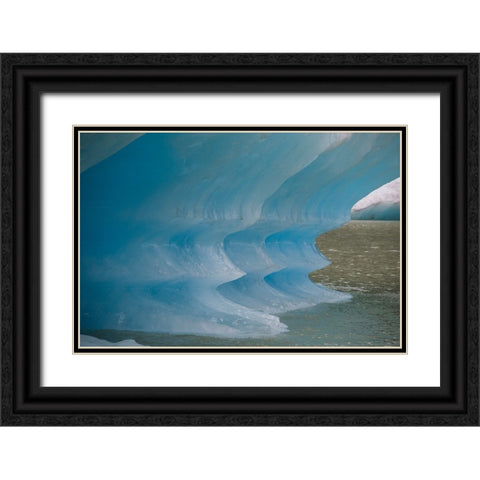 Blue iceberg glows in Shakes Lake. Black Ornate Wood Framed Art Print with Double Matting by Sederquist, Betty