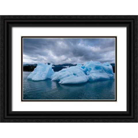 Iceberg glows in Endicott Arm. Black Ornate Wood Framed Art Print with Double Matting by Sederquist, Betty