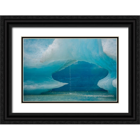 Iceberg melts into Shakes Lake. Black Ornate Wood Framed Art Print with Double Matting by Sederquist, Betty