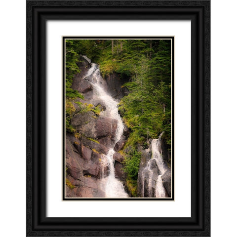 Kenai Peninsula. Two waterfalls surrounded by pine trees Black Ornate Wood Framed Art Print with Double Matting by Muir, Janet