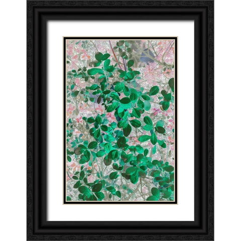 Alaska- Denali National Park. Artistic rendering of leaves. Black Ornate Wood Framed Art Print with Double Matting by Muir, Janet