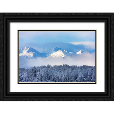 Landscape of forest and snow mountain-Haines-Alaska-USA Black Ornate Wood Framed Art Print with Double Matting by Su, Keren