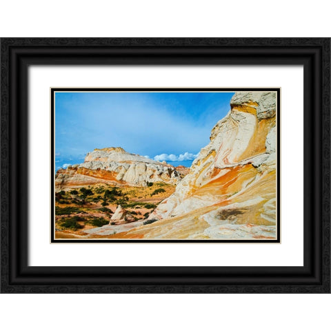 USA-Arizona-Vermilion Cliffs National Monument White Pocket Black Ornate Wood Framed Art Print with Double Matting by Friel, Bernard