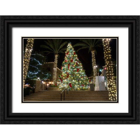 USA-Arizona-Buckeye-Christmas tree in the village square at night Black Ornate Wood Framed Art Print with Double Matting by Jaynes Gallery